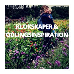 klokskaper o odlingsinspiration 10 eller 12 mars 2020